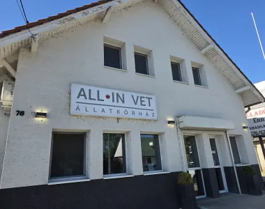 Homlokzat tisztítás előtt